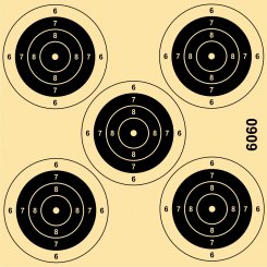 German air rifle 5 practice target 