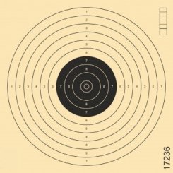 LP-Scheibe. geschlitzt 