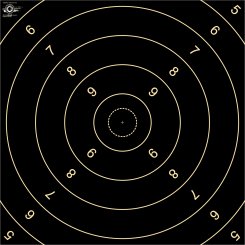 Spiegel für BDMP-Scheibe Nr. 2 