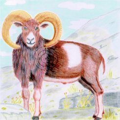 Mufflon-Scheibe 