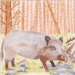 Wildschwein-Scheibe 