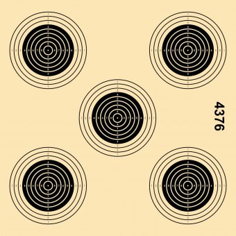 Practice target for air rifle 5t. 14x14 